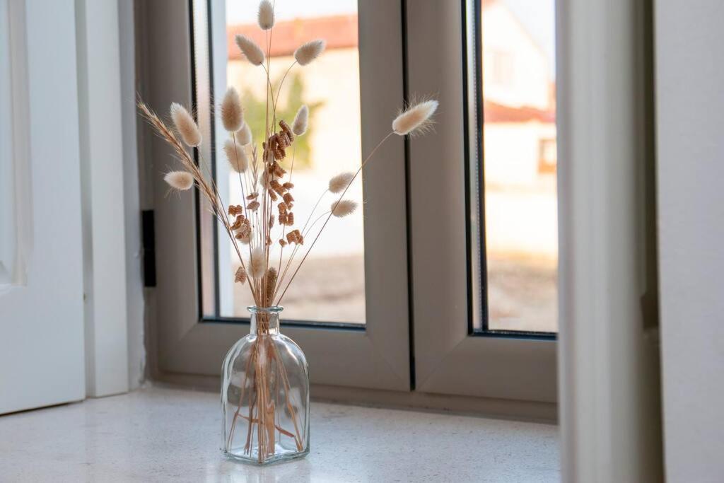 Beautiful Cozy Near Nazare, Leiria&batalha Holiday home *
